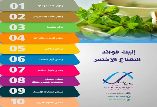 تعرف على أهم الفوائد القيمة للنعناع الأخضر